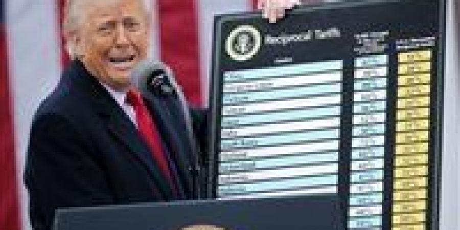 أستاذ اقتصاد: سياسات ترامب غير المدروسة تُضعف الدولار أمام اليورو