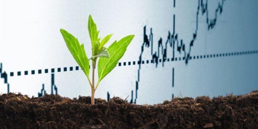 تراجع كبير في المحاصيل الزراعية بألمانيا بسبب أحد أمراض النبات