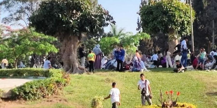 المواطنون يحتفلون برابع أيام عيد الأضحى المبارك على مستوى الجمهورية