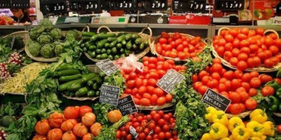 على رأسها الطماطم.. الخضر والفواكه المغربية تحافظ على حضورها القوي بالسوق الإسبانية