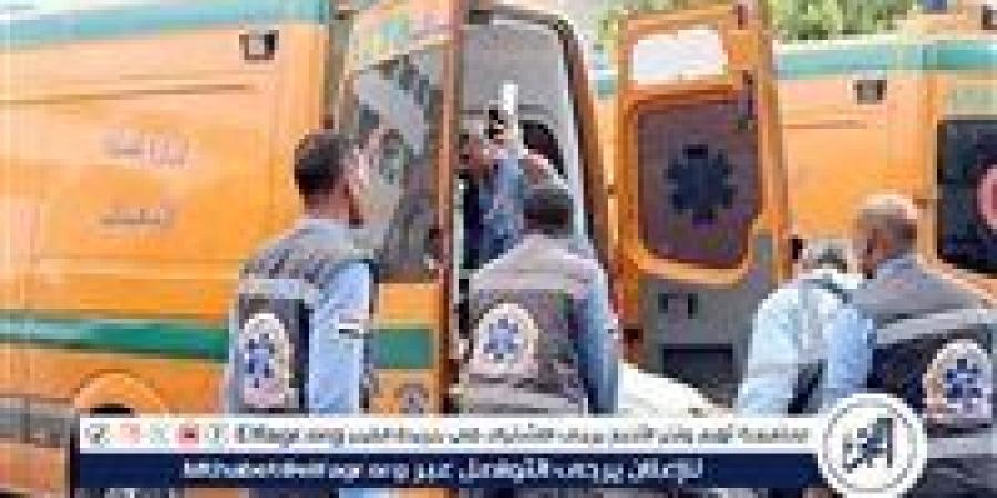 إصابة 17 عامل إثر انقلاب سيارة ربع نقل بالمنيا