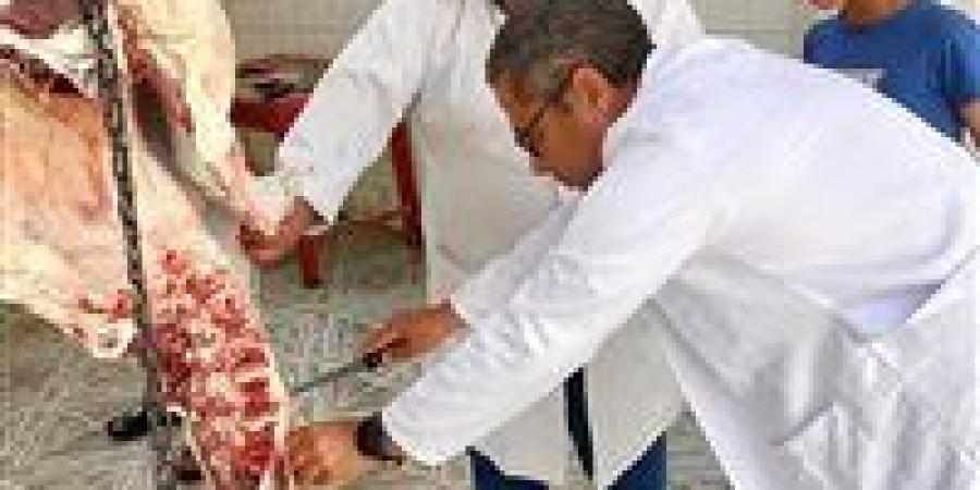ذبح 561 أضحية بمجازر الطب البيطري بالمجان بالشرقية فى ثالث أيام عيد الأضحي