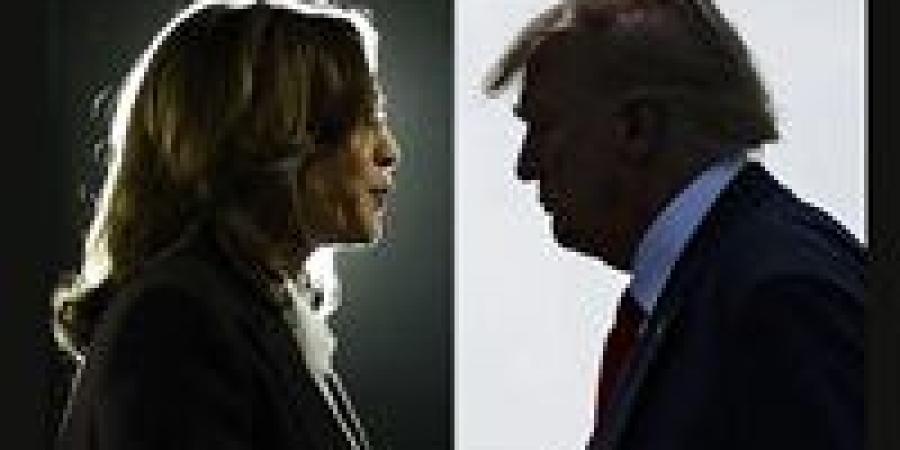 «أجندة لنشر الإنقسام».. هاريس تنتقد تعامل ترامب مع المتظاهرين في لوس أنجلوس