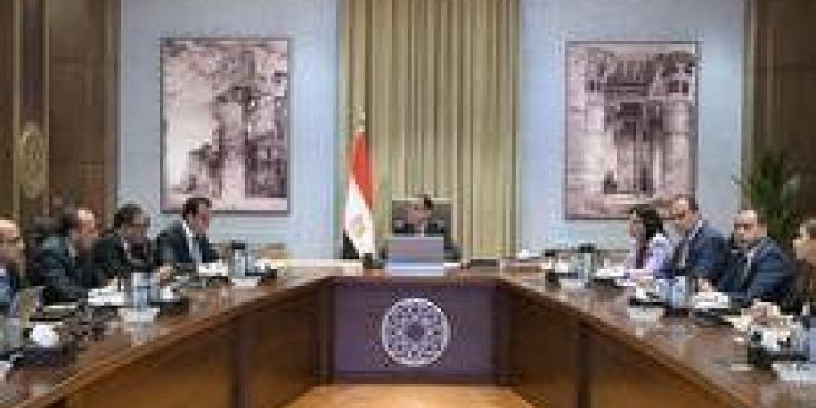 الحكومة المصرية تجهز فرصا استثمارية فى القطاع الصحى للسنوات العشر المقبلة