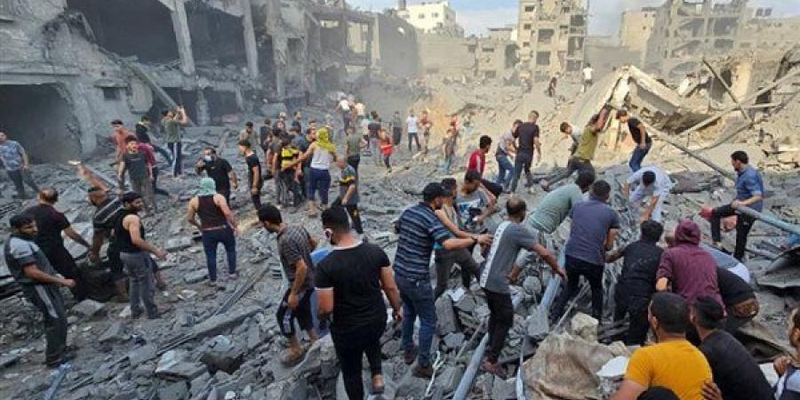 الإبادة التعليمية في غزة.. كيف تحولت المدارس إلى مقابر جماعية؟