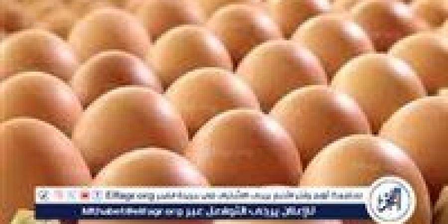 أسعار طبق البيض اليوم الثلاثاء - 10-2025 في الدقهلية