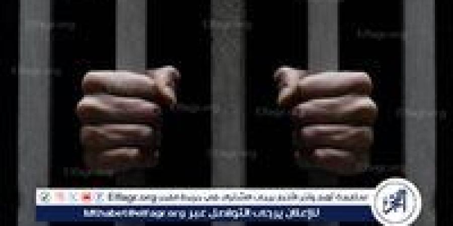 حبس تشكيل عصابي مسلح تخصص في سرقة أعمدة الإنارة بالقاهرة