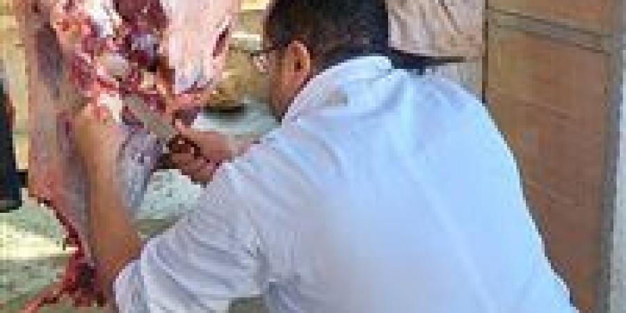 ذبح 3443 أضحية للمواطنين في مجازر المحافظة بعد الكشف البيطري عليها بالجيزة