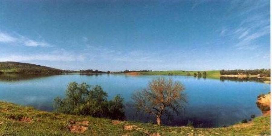 إشراك المجتمع المدني لإنقاذ محمية سيدي بوغابة من خطر التلوث البيئي