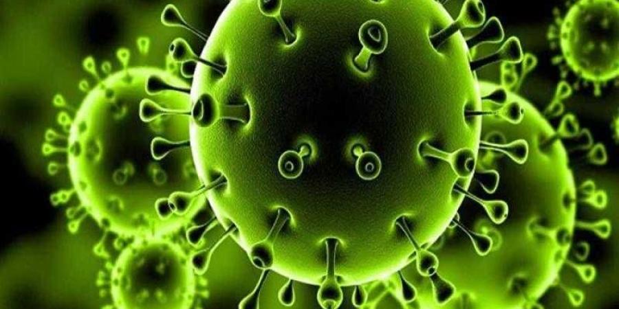 أشرف عقبة: متحور «نيمبس» يتمتع بقدرة أعلى على الانتشار