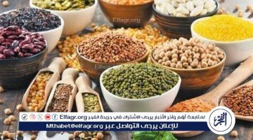 أسعار البقوليات اليوم الجمعة 5-7-2024 في المنيا