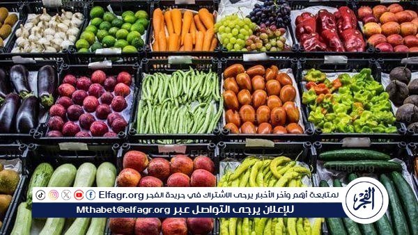 أسعار الخضروات اليوم الاثنين 8-7-2024 في المنيا