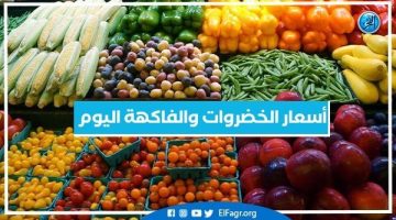 أسعار الخضروات والفاكهة اليوم الاثنين 8-7-2024 في أسواق محافظة البحيرة