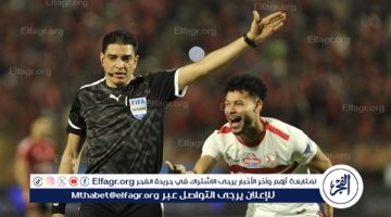 إبراهيم نور الدين يوضح موقفه بشأن توليه منصب مدير فني للجنة الحكام