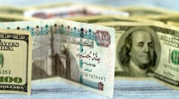 سعر الدولار في السوق السوداء اليوم السبت مقابل الجنيه