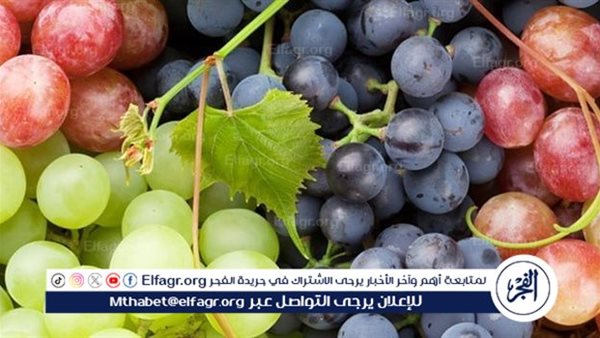 مشروب صحي ومنعش يمتدحه الجميع