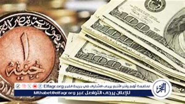 استقرار سعر الدولار مقابل الجنيه المصري اليوم الخميس 29 أغسطس 2024