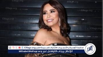 أنا بحبك وبستنى فيديوهاتك.. شيرين عبد الوهاب تشيد بأحد مشاهير “تيك توك”