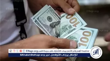 استقرار سعر الدولار في مصر ليوم الجمعة 30 أغسطس 2024