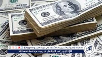 استقرار سعر الدولار مقابل الجنيه المصري في تعاملات الثلاثاء 27 أغسطس 2024