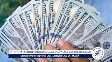 انخفاض الاخضر عالميا بنسبة 2.9% خلال أغسطس 2024.. سعر الدولار مقابل الجنيه المصري اليوم الخميس