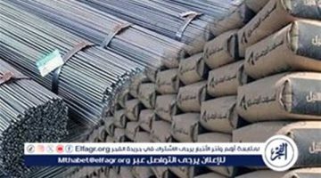 انخفاض ملحوظ في أسعار الحديد في مصر: تحديث 27 أغسطس 2024