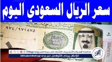 تباين أسعار الريال السعودي مقابل الجنيه المصري وتفاصيل أخرى