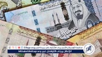 تراجع سعر الريال السعودي مقابل الجنيه المصري اليوم الخميس 29 أغسطس 2024