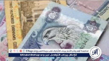 سعر الدرهم الإماراتي أمام الجنيه بالبنوك اليوم الثلاثاء 27-8-2024