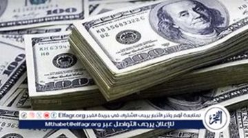 سعر الدولار اليوم 30 أغسطس مقابل الجنيه المصري بعد انخفاضه في 10 بنوك