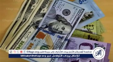 سعر الدولار اليوم في سوريا السبت 31 أغسطس 2024 أمام الليرة والعملات العالمية