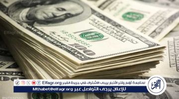 سعر الدولار مقابل الجنيه المصري اليوم السبت 31 أغسطس 2024