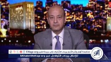 قانون الإجراءات الجنائية بمثابة دستور مصغر