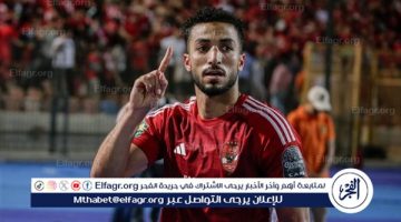 قبل محمد عبدالمنعم.. أبرز 10 لاعبين مصريين خاضوا تجربة الاحتراف في الدوري الفرنسي