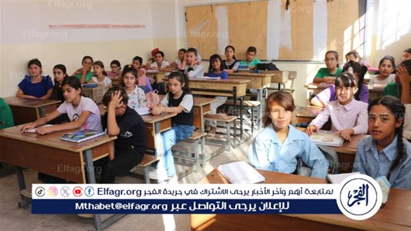 ما أهمية تدريس اللغة العربية والتاريخ في المدارس الدولية؟.. أستاذ جامعي يوضح