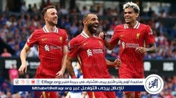 مواجهات ليفربول في دوري أبطال أوروبا 2024-2025