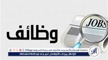 وزارة العمل تعلن عن وظائف شاغرة برواتب تصل إلى 15 ألف جنيه بمحافظة الغربية