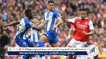 يلا كورة لايف.. مشاهدة مباراة أرسنال ضد برايتون Arsenal vs Brighton مباشر دون تقطيع