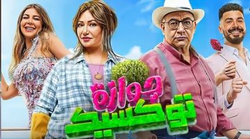 فيلم جوازة توكسيك يحقق رقما صادما في شباك التذاكر