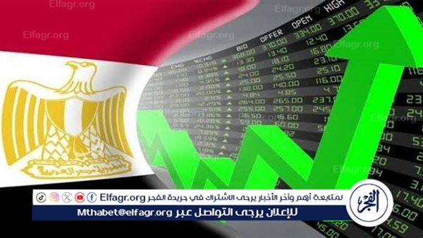 أستاذ طاقة: الاقتصاد المصري يتميز بالتنوع