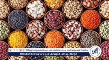 أسعار البقوليات اليوم الجمعة 27-9-2024 في أسواق ومحال محافظة الدقهلية