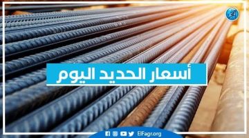 أسعار الحديد اليوم السبت 14-9-2024 في محافظة البحيرة