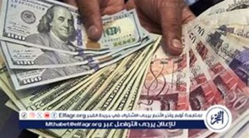 أسعار العملات اليوم الخميس 12 سبتمبر 2024 في البنك الأهلي المصري