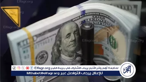 ارتفاع سعر الدولار الأمريكي أمام الجنيه المصري اليوم السبت 14 سبتمبر 2024