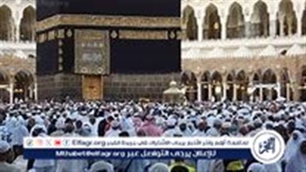 استعدادات موسم عمرة المولد النبوي الشريف 2024