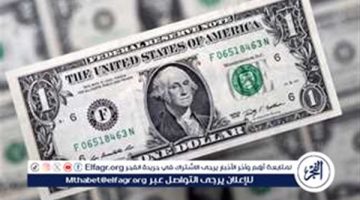 استقرار سعر الدولار في البنوك المصرية اليوم 13-9-2024