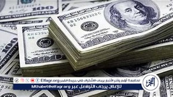 استقرار سعر الدولار مقابل الجنيه المصري