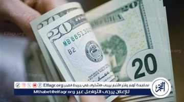 استقرار ملحوظ في أسعار الصرف اليوم