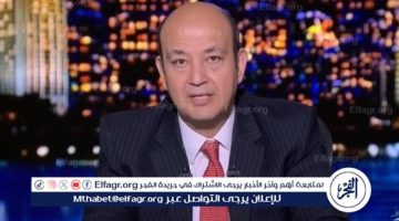 الرئيس السيسي سيزور تركيا الأيام المقبلة