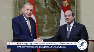 السيسي وأردوغان يؤكدان الرغبة في تحسين علاقات مصر وتركيا